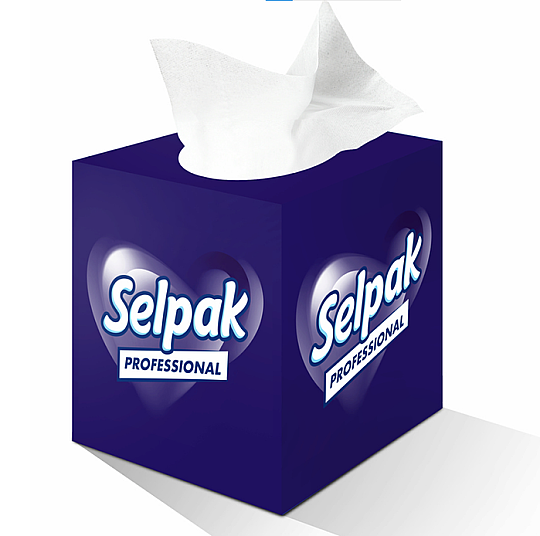 Selpak 7906666 Professional Butık Kutu Mendıl 18x21 Cm 48'li